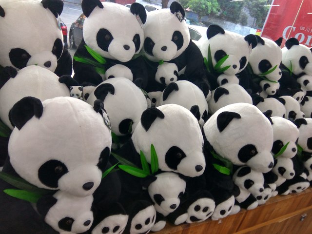Chengdu: Pandas, Buda y sobredosis de azucar. - Keira en China (1)