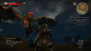 witcher3_2018-01-06_22-40-37-11