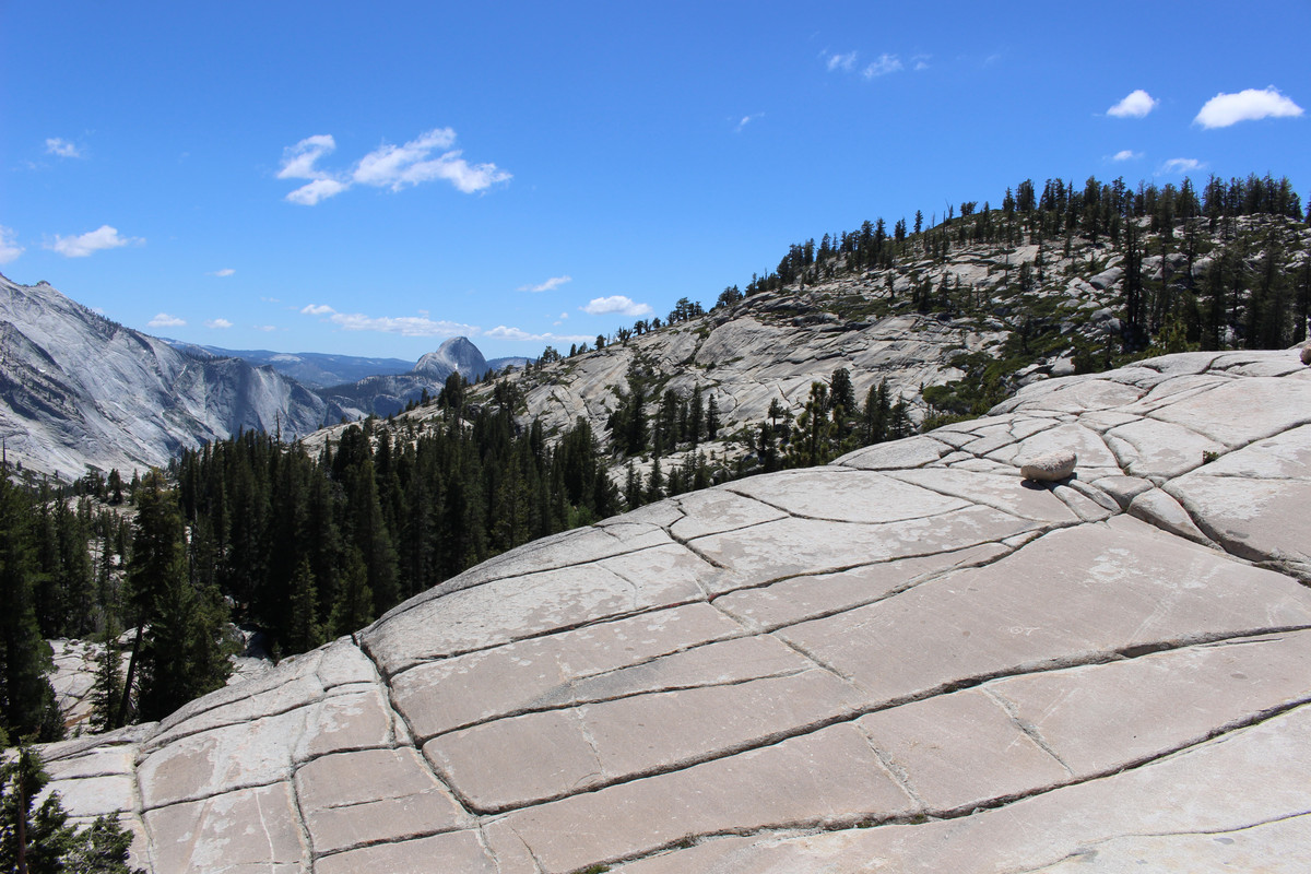 Costa Oeste + Polinesia Francesa - Blogs de USA - Dia 4. Yosemite - Mammoth Lake (12)