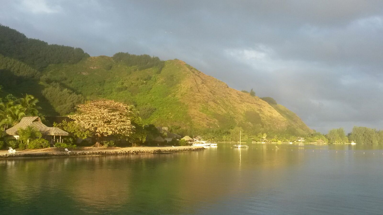 Costa Oeste + Polinesia Francesa II - Blogs de Polinesia Francesa - Relax en Moorea (1)