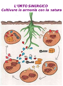 L’Orto Sinergico - Coltivare in armonia con la natura (2010) - ITA