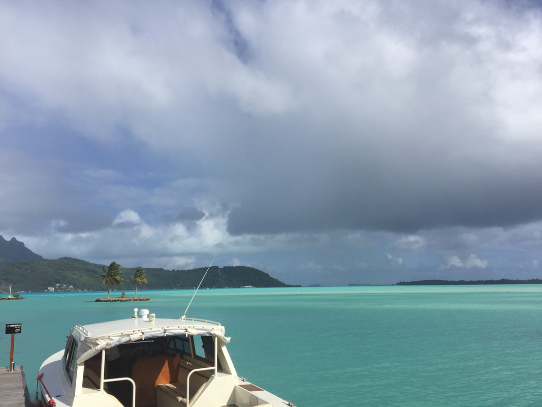 Costa Oeste + Polinesia Francesa II - Blogs de Polinesia Francesa - De Moorea a Bora Bora (4)
