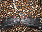 2215.jpg