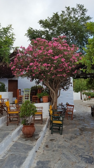 El Egeo tranquilo - Blogs de Grecia - Amorgos, Le Grand Bleu (7)