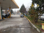 4232.jpg