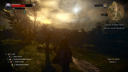 witcher3_2018-01-06_20-24-28-02