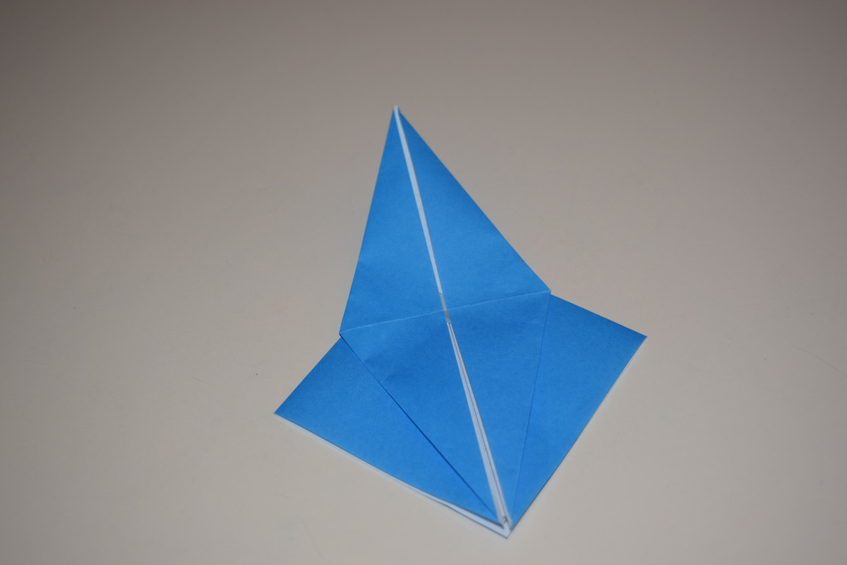 Picture of a Petal Fold
