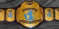 WCWWorldHeavyweight2