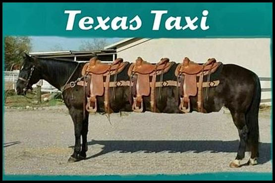 texastaxi.png