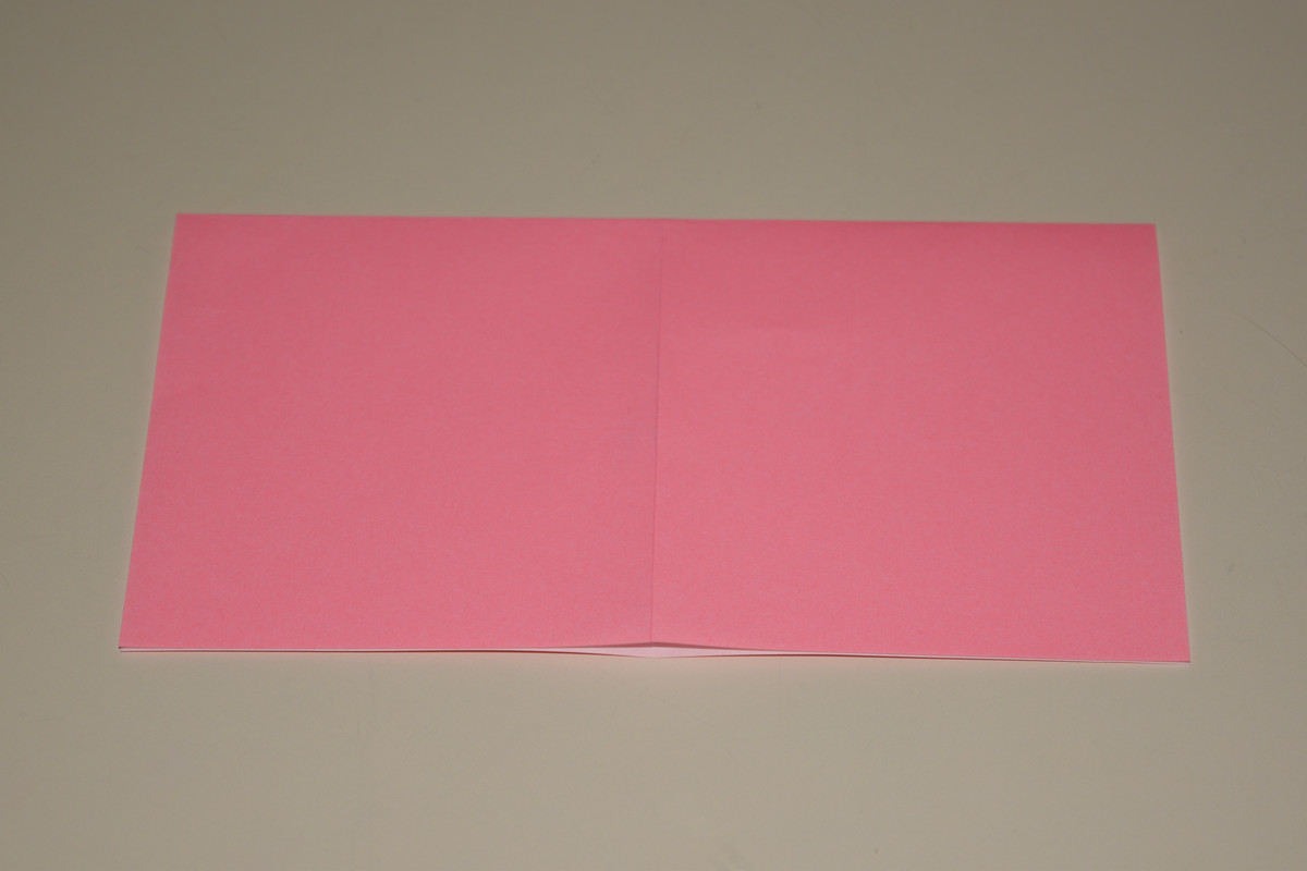 Picture of a Squash Fold