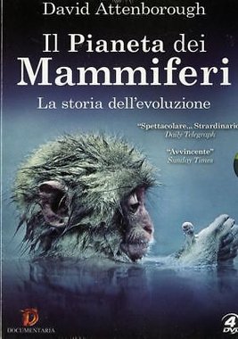 Il pianeta dei mammiferi (2014) 4 X DVD5 Copia 1:1 - ITA/ENG