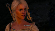 witcher3_2018-01-10_22-45-03-23