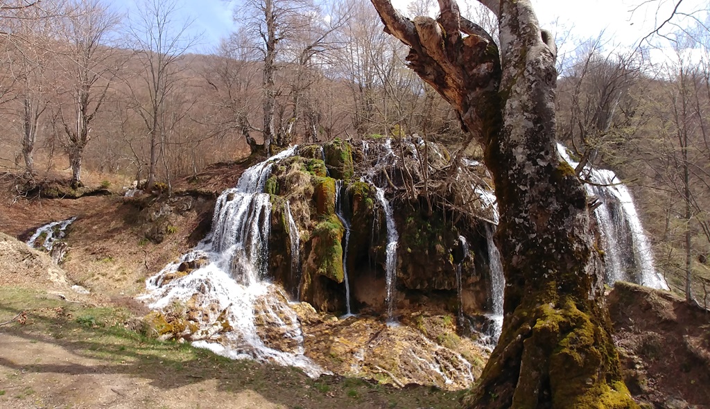 Slika