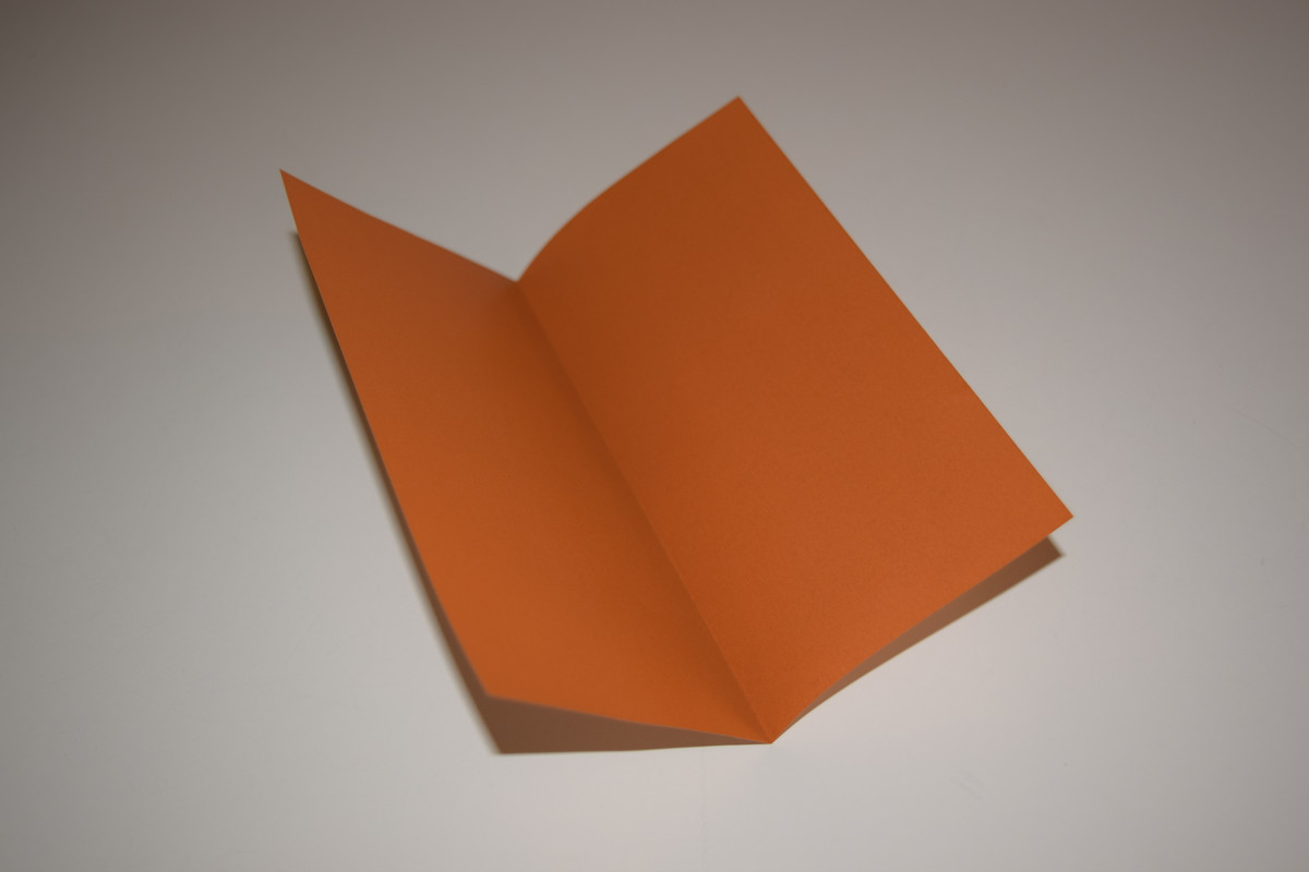 Picture of a Valley Fold
