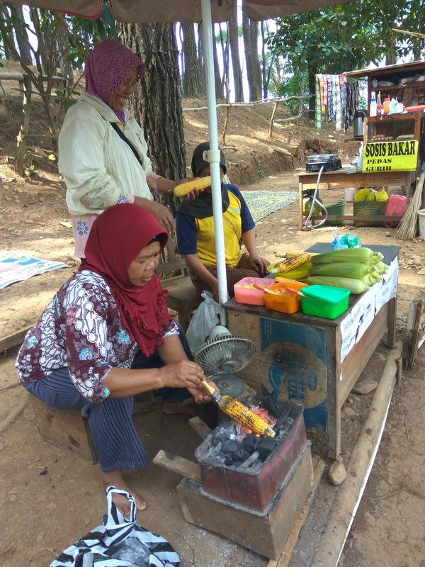 Keira en Kuala Lumpur, Indonesia y Filipinas - Blogs of Asia Sudeast - Pinos en Yogyakarta (4)