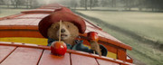 Paddington.2.3.jpg