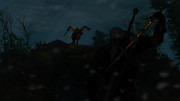 witcher3_2018-01-06_20-33-44-03