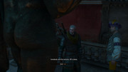 witcher3_2018-02-11_18-39-19-59