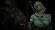 witcher3_2018-01-11_21-48-23-59