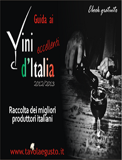 Guide ai vini eccellenti d' Italia II e III Edizione (2010-13) - ITA
