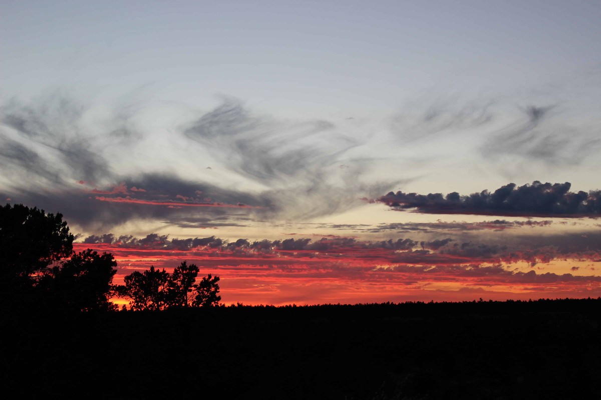 Dia 6. Kingman - Route 66 - Grand Canyon - Costa Oeste + Polinesia Francesa (27)