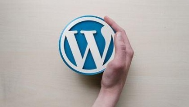 Learn WordPress from scratch-P2P