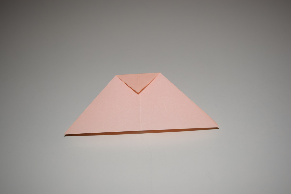 Picture of a Sink Fold