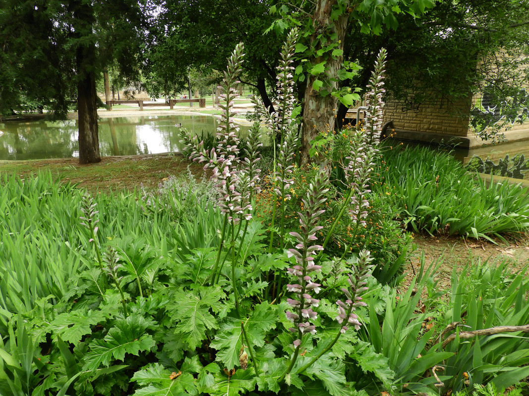 DSCN7210.jpg