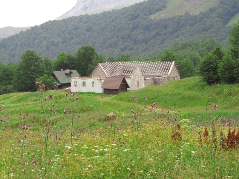 Slika