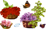 baskets_with_flowers_png_by_lifeblue-d8yggmf