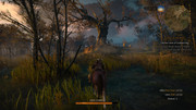 witcher3_2017-10-09_21-48-29-75