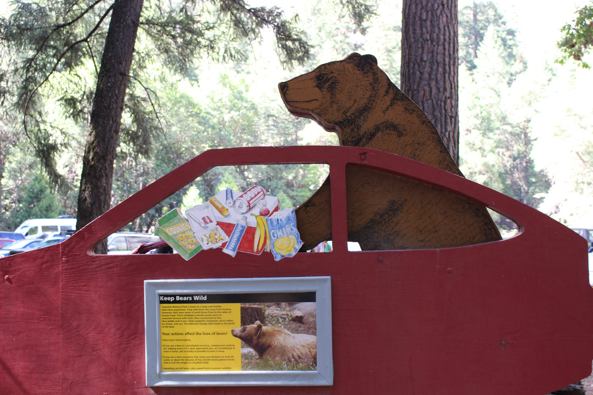 Costa Oeste + Polinesia Francesa - Blogs de USA - Dia 4. Yosemite - Mammoth Lake (7)