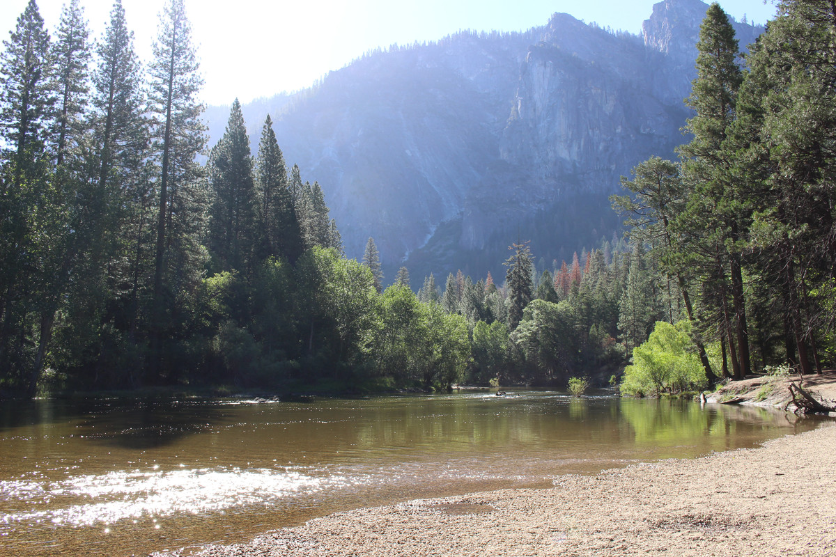 Costa Oeste + Polinesia Francesa - Blogs de USA - Dia 4. Yosemite - Mammoth Lake (1)
