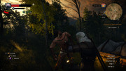 witcher3_2017-08-30_20-09-55-31