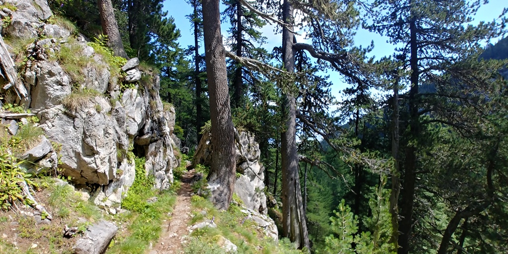 Slika