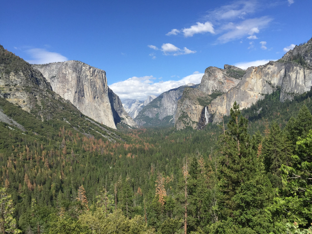 Costa Oeste + Polinesia Francesa - Blogs de USA - Dia 3. SFO - Yosemite (4)