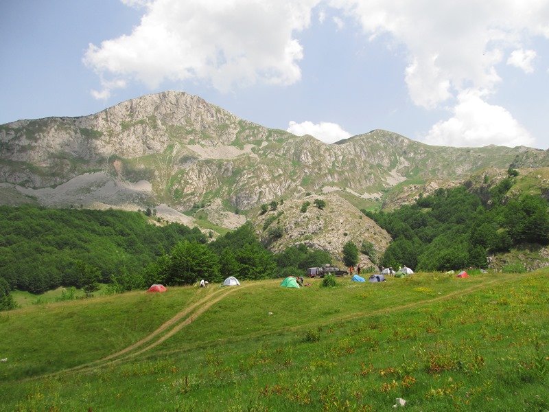 Slika