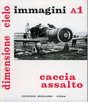 Dimensione Cielo - Aerei Italiani nella II guerra Mondiale [assalto Vol A1] - ITA