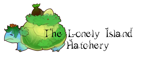 turtle_banner.png