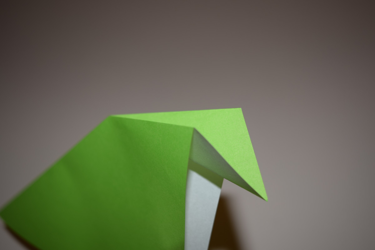 Picture of an Inside Reverse Fold