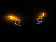 9956.jpg