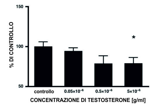 Concentrazioni di Testosterone