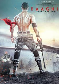 Baaghi 2 (2018) HDRip Hindi 720p 480p Mkv