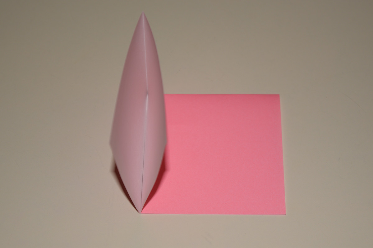 Picture of a Squash Fold