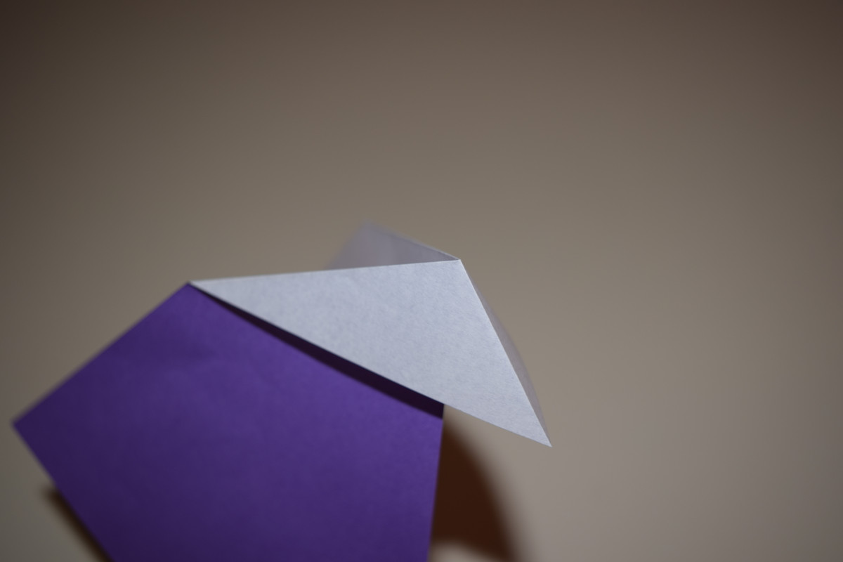 Picture of an Outside Reverse Fold