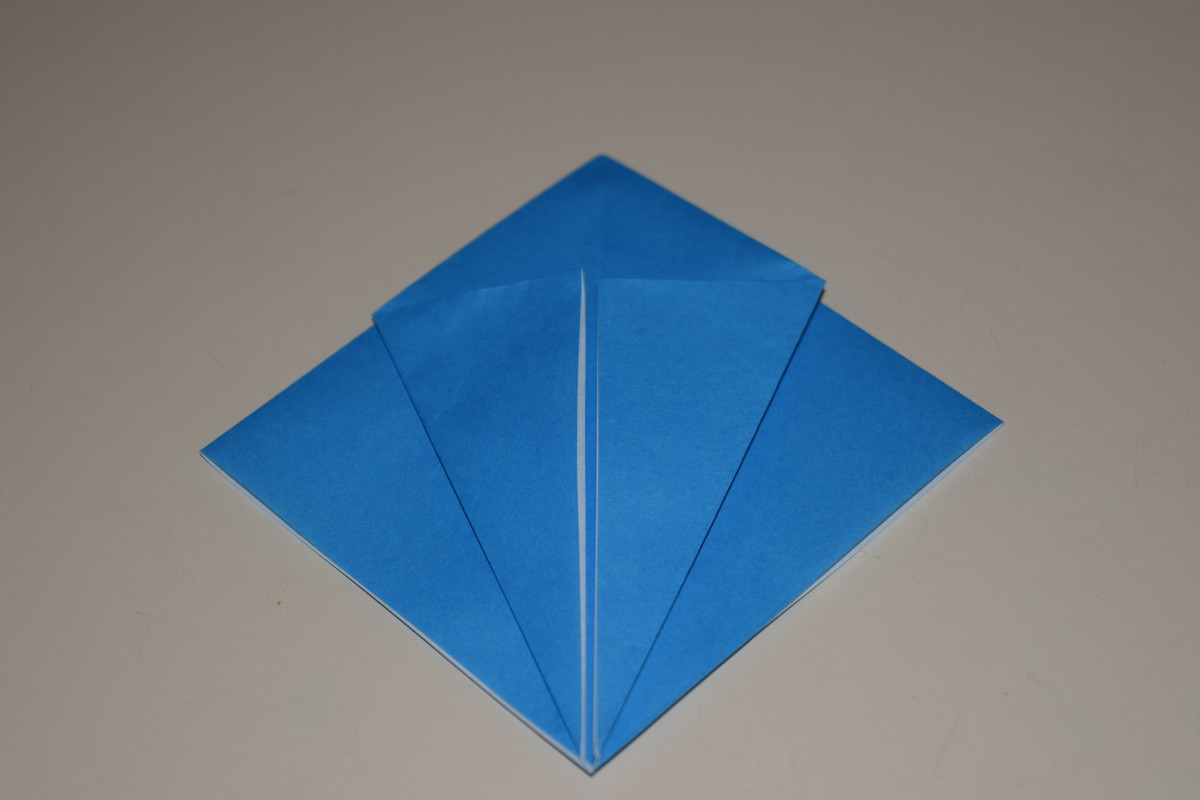 Picture of a Petal Fold
