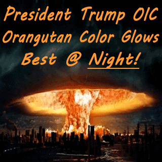Prs-_Trump-_OIC-_Nuke-320.gif