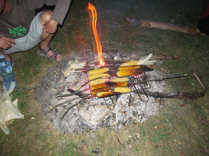 Slika