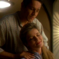 shippers_delight_av.jpg