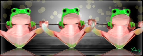SOTW_frog.png